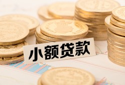 东莞应急哪里有小额贷款-东莞应急身份证贷款平台-东莞应急民间短借