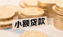 东莞应急哪里有小额贷款-东莞应急身份证贷款平台-东莞应急民间短借